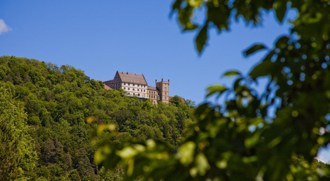 Schloss Weitenburg 스타자크 외부 사진